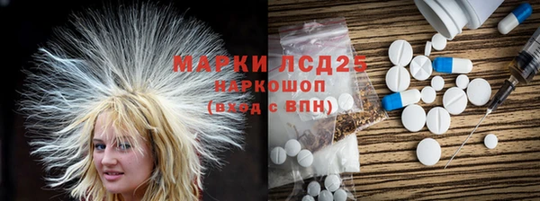 ешки Аркадак