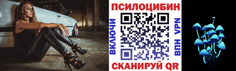 Псилоцибиновые грибы мицелий Купить Сафоново